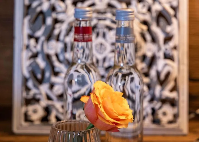 The Medran Penthouse Verbier